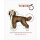 Buch, Theory 5, Simplifying basic pet grooming concepts for every day pets von Melissa Verplank