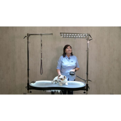 Trimmtisch grotec Tournament, beleuchtet, elektrisch höhenverstellbar, schwarz