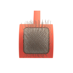 Chris Christensen, Slicker Brush, Baby G, coral
