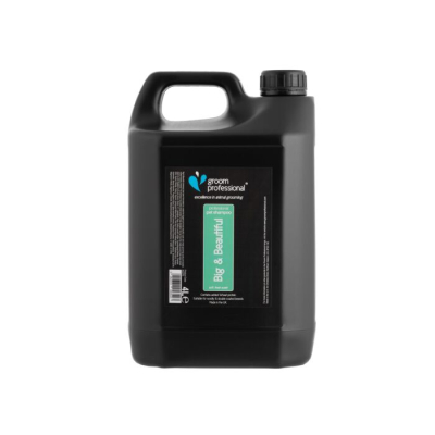 Hundeshampoo Groom Prfofessional Big & Beautiful Volumising 4 L