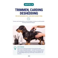 Buch, The grooming masterclass, Ausgabe 1 - Grundlagen